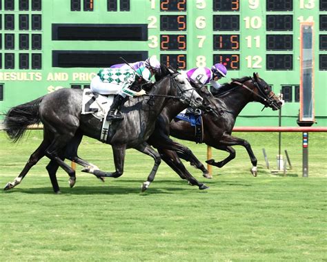 Guide to handicapping .